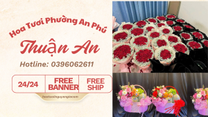 Hoa Tươi Phường An Phú Thuận An – Nguyễn Gia Giao Nhanh, Mẫu Đẹp Mỗi Ngày