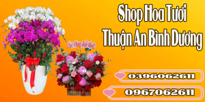 Shop Hoa Tươi Thuận An Bình Dương – Sự Lựa Chọn Hoàn Hảo Cho Mọi Dịp Tặng Hoa