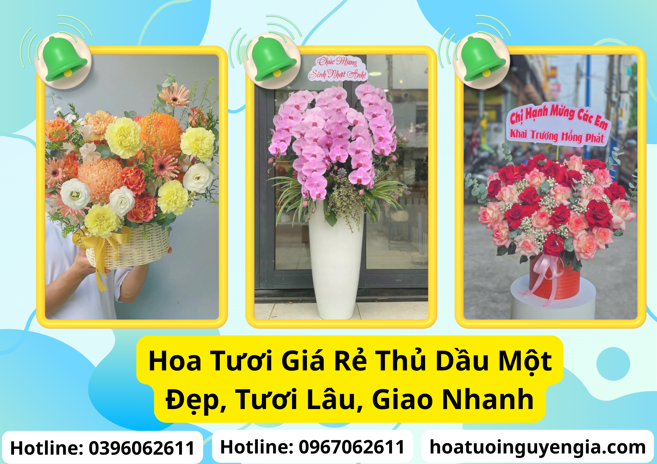 Thị Trường Hoa Tươi Tại Thủ Dầu Một Bình Dương